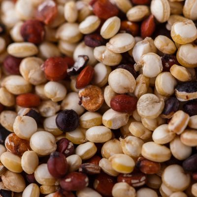Organic Quinoa Tricolore