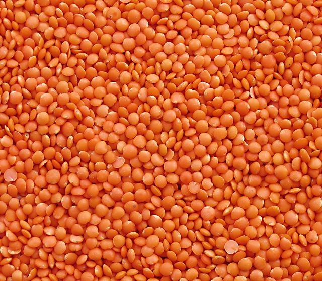Organic Red Lentils