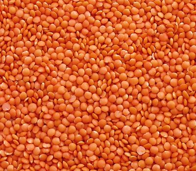 Organic Red Lentils
