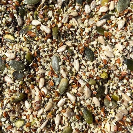 Organic Omega Seedmix