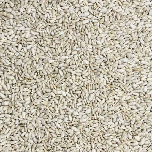 Organic Sunflower Seeds