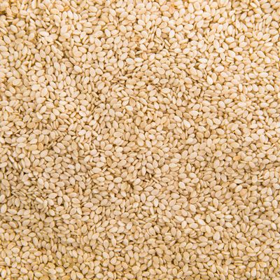 Organic White Sesame Seeds