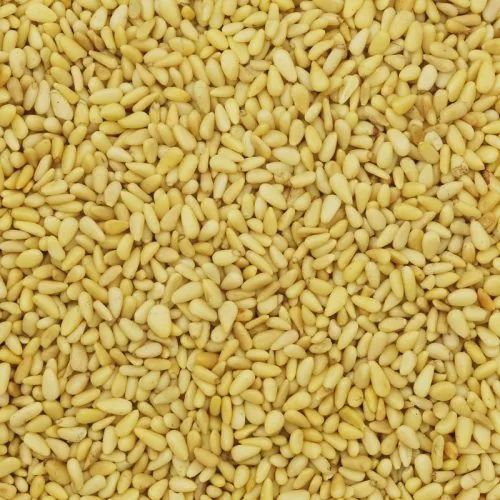 Pine Nuts (Raw)