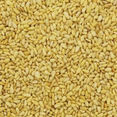 Pine Nuts (Raw)