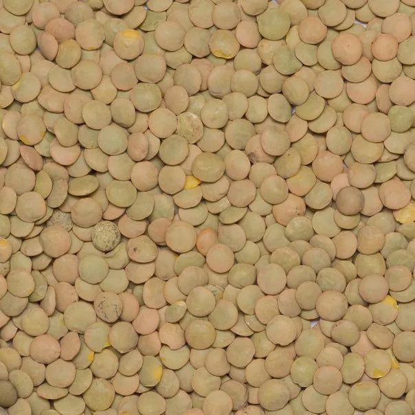 Organic Green Lentils (Laird)