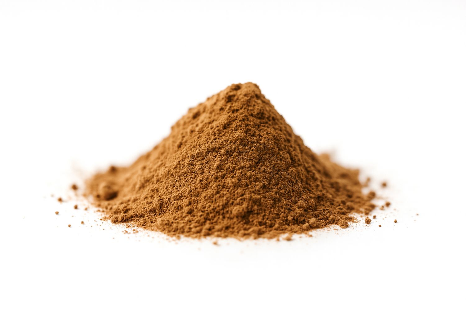 Cordyceps Extract Powder