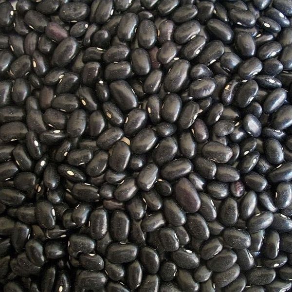 Organic Black Beans