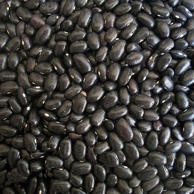 Organic Black Beans