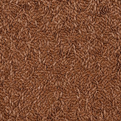 Organic Flax Seeds Whole