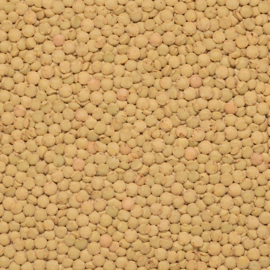 Organic Green Lentils (Du Puy)