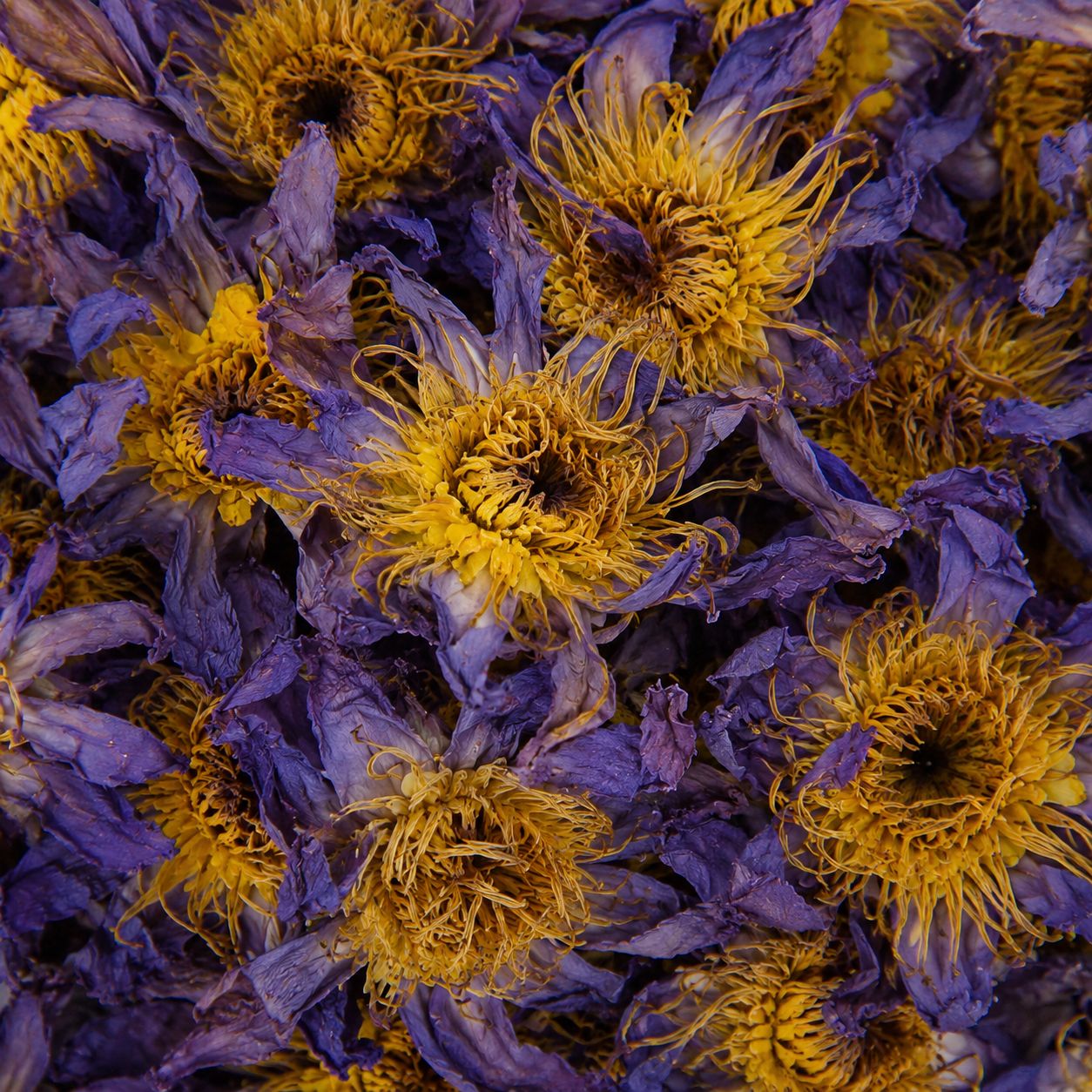 organic blue lotus flower - 15g
