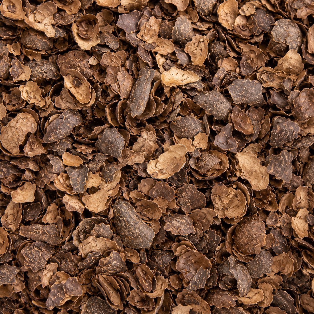 Organic Cacao Husks