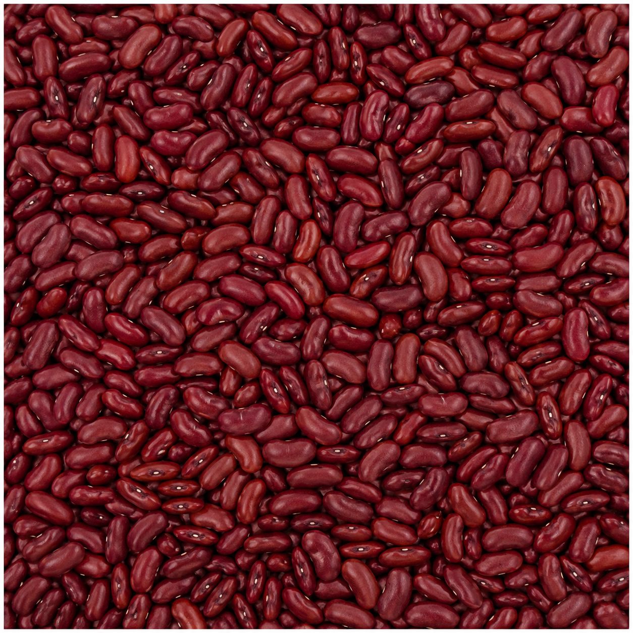 Organic Red Kidney Beans