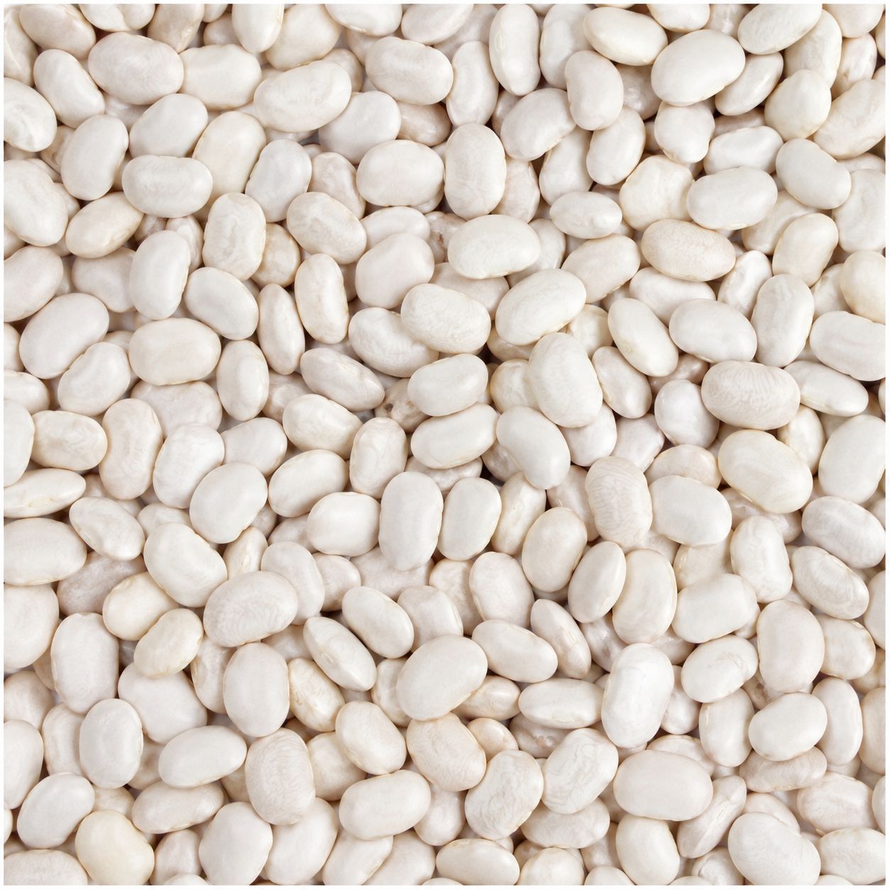 Organic Lima Beans