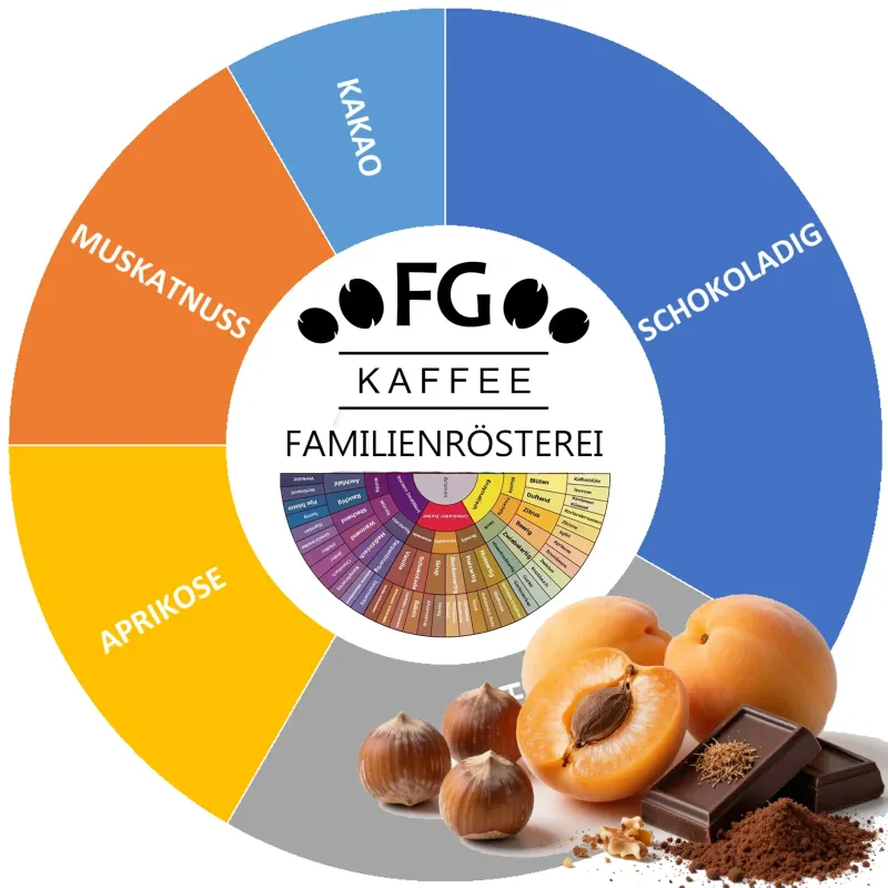 FG Kaffee Sued Coffee beans 100% Arabica 500g