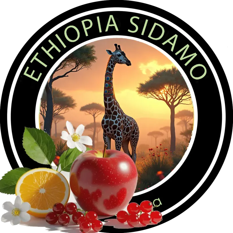Die Welt Kaffee Ethiopia Sidamo Coffee Beans 1000g