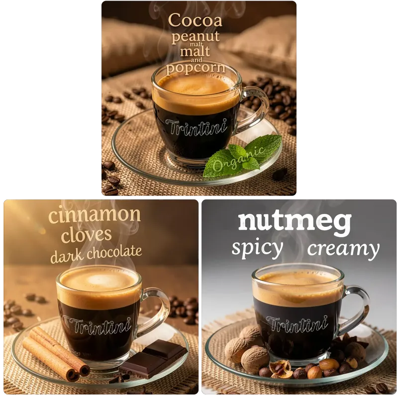 Trintini Set Organic Espresso, Espresso und Crema Gusto Italiana  Coffee beans 3x1000g