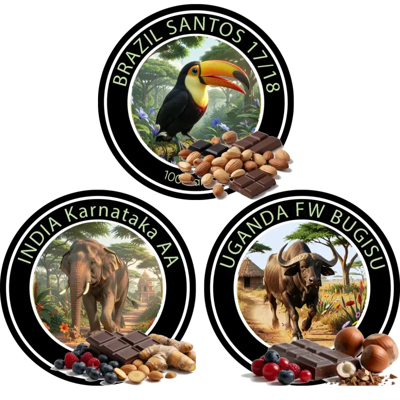 Die Welt Kaffee Brazil Santos Kingsize Coffee Beans, 1000g