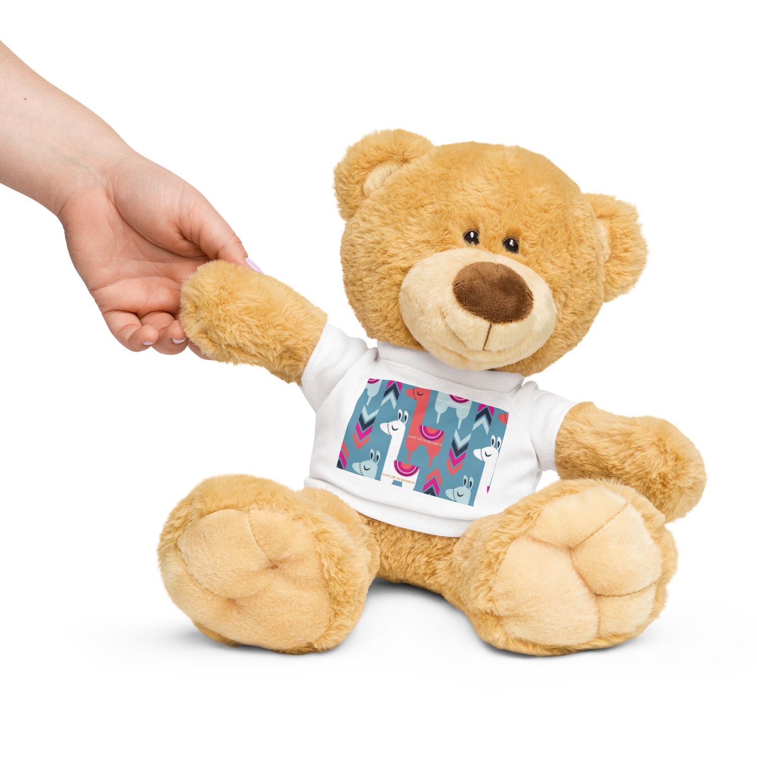 Teddy bear with a t-shirt