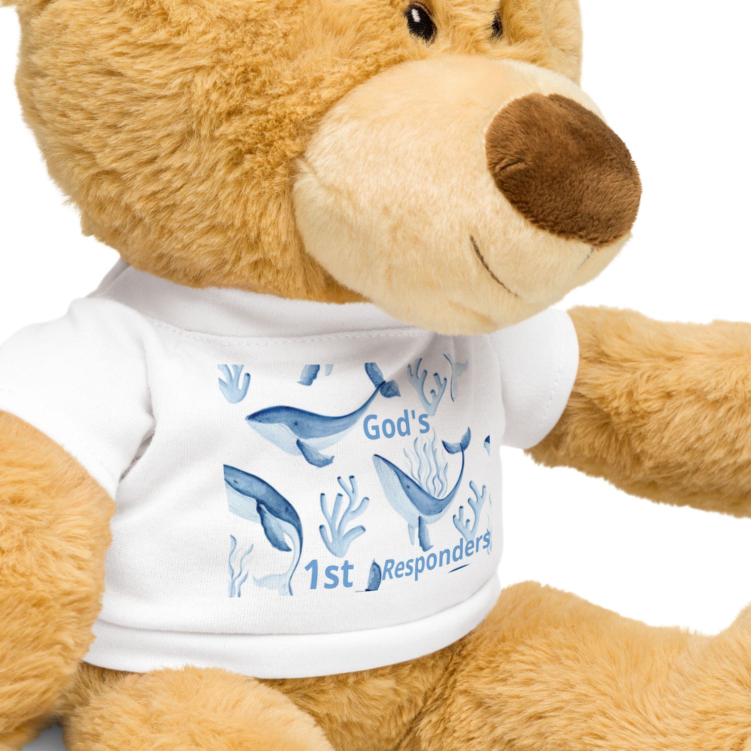 Teddy bear with a t-shirt
