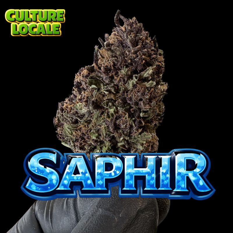 SAPHIR