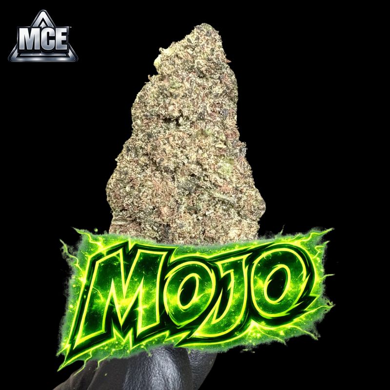 MOJO MCE 16%