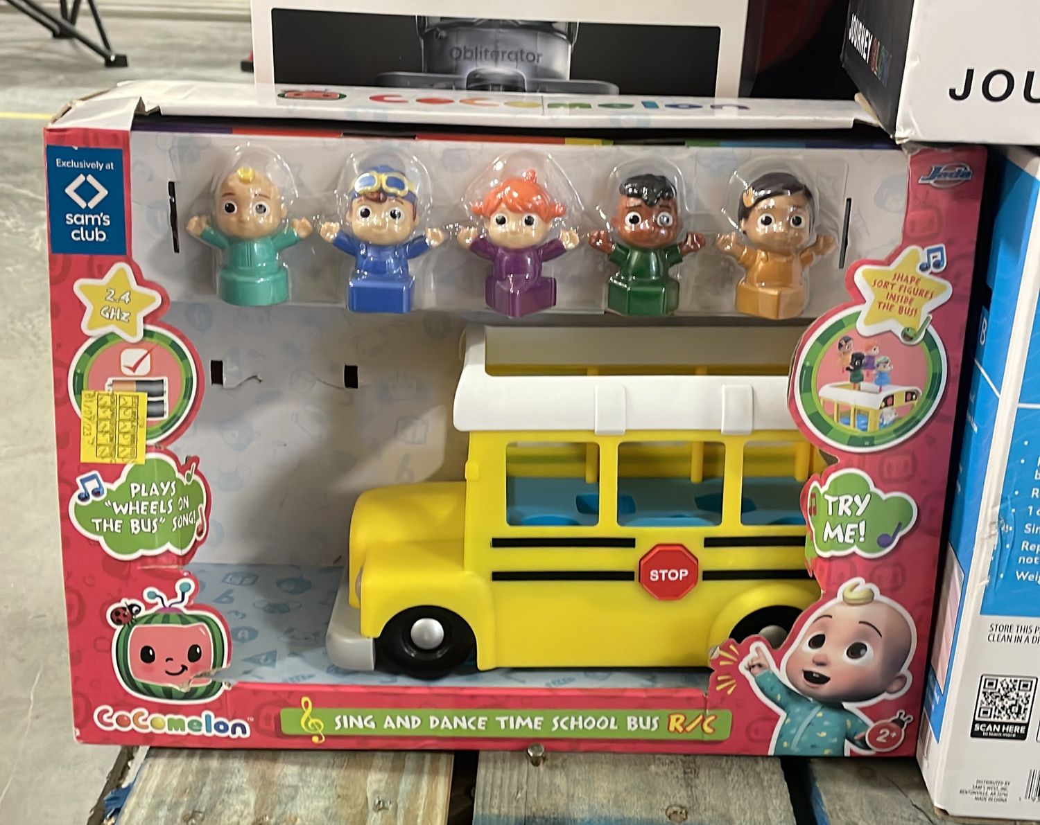 10" Cocomelon Sing and Dance Time (Assorted Styles)