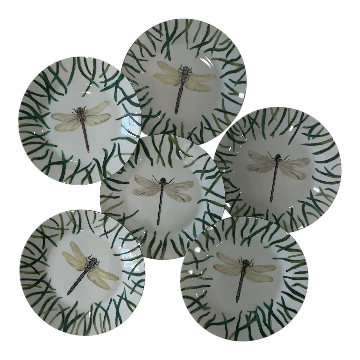 Dragon fly dessert set