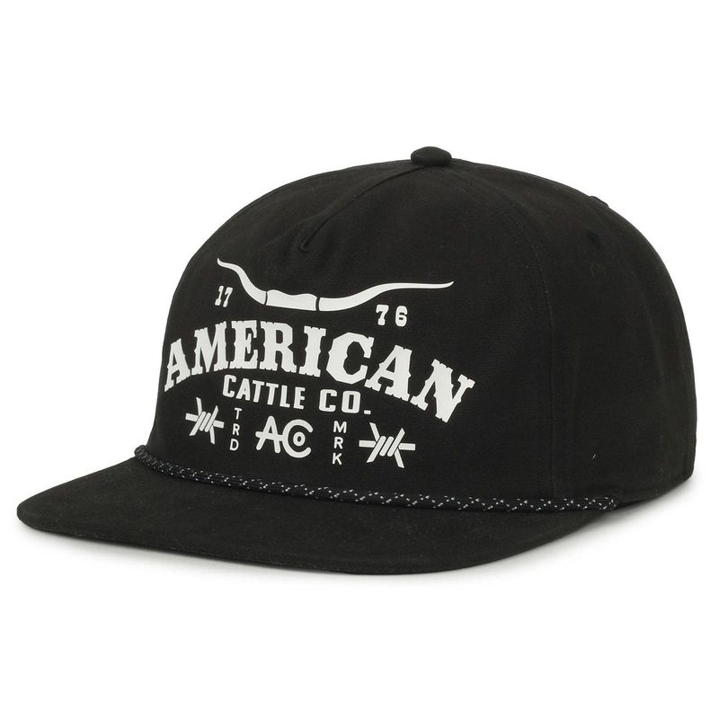 Longhorn Barb Hat