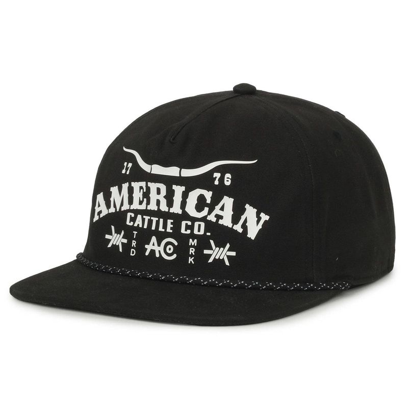 Longhorn Barb Hat