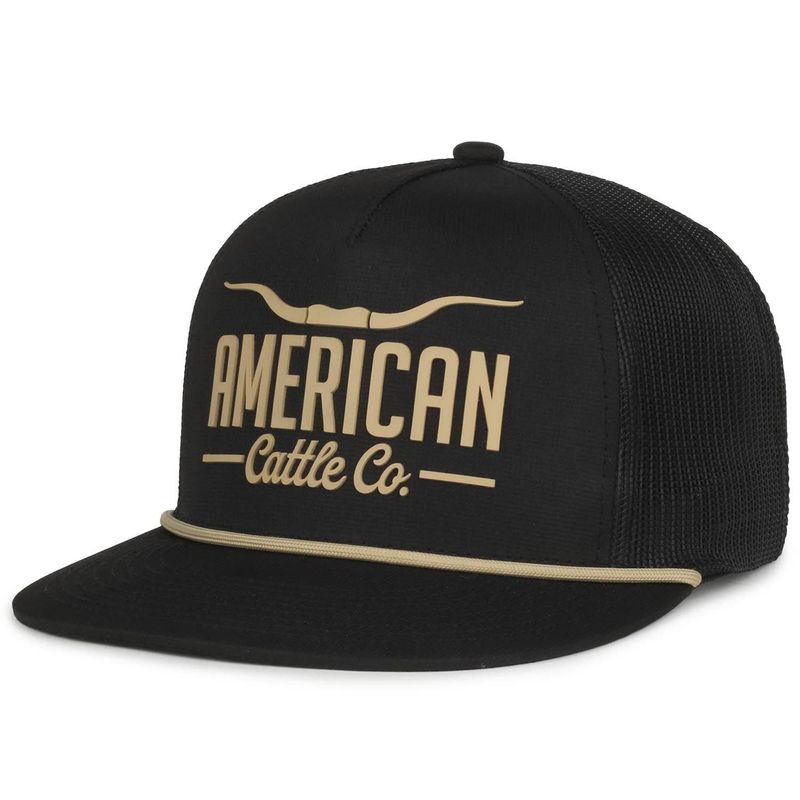 Longhorn Hat(1)