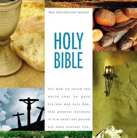 Niv, Holy Bible Textbook Edition, Hardcover