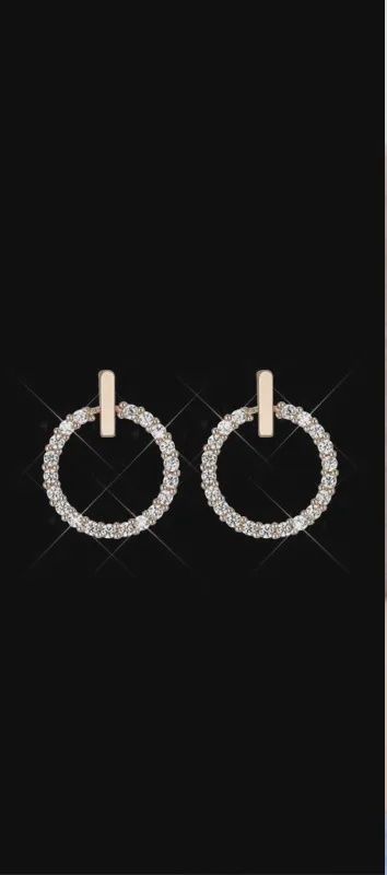 Delicate Diamond Encrusted Earrings