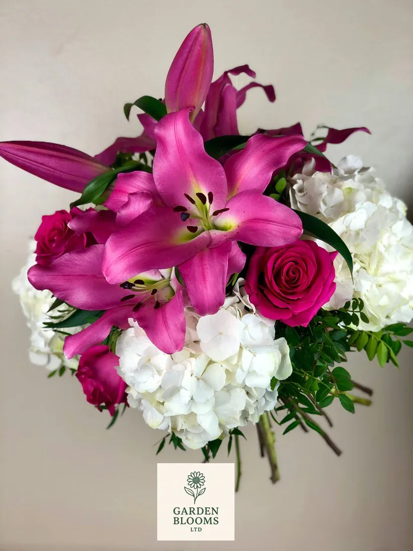 Dream Lilly