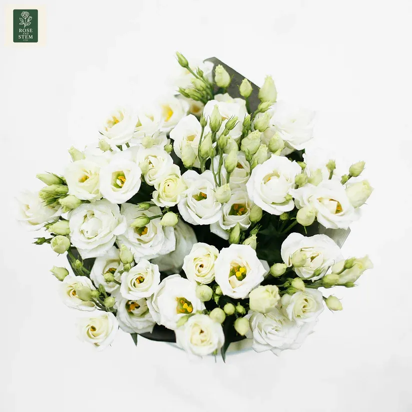 White Lisianthus