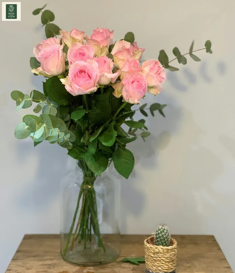 12 Pretty Pink Roses