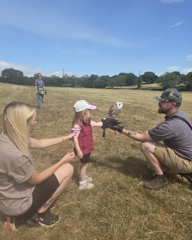 GROUPED FALCONRY EXPERIENCES