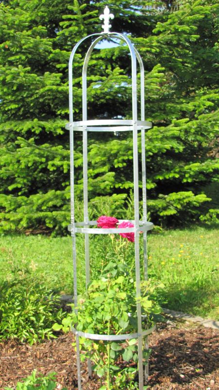 Rosensäule Laurin-> Rankgerüst aus verzinktem Stahl ( Vollmaterial ) 195 x Ø40cm