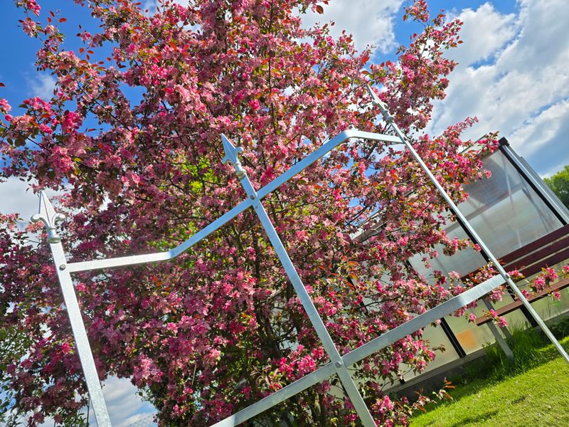 Rankgitter Z-Line 195cmx90cm aus Stahl verzinkt by MetallGarten