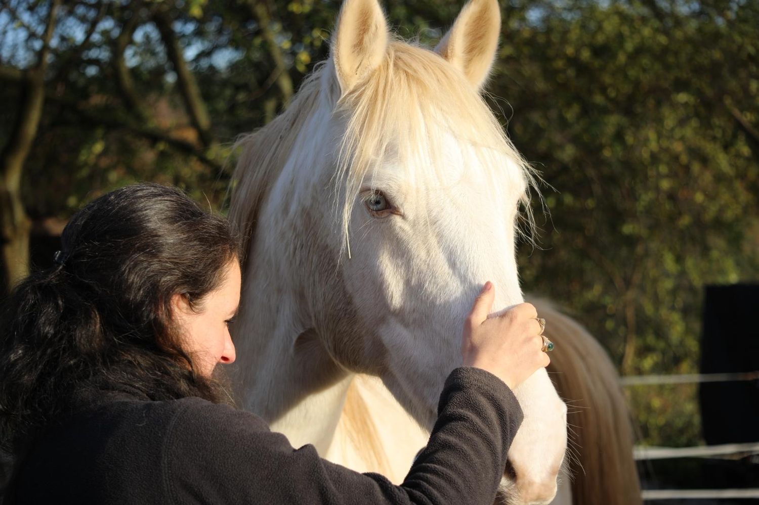 7 Tage Nervensystem-Regulation für dich & dein Pferd