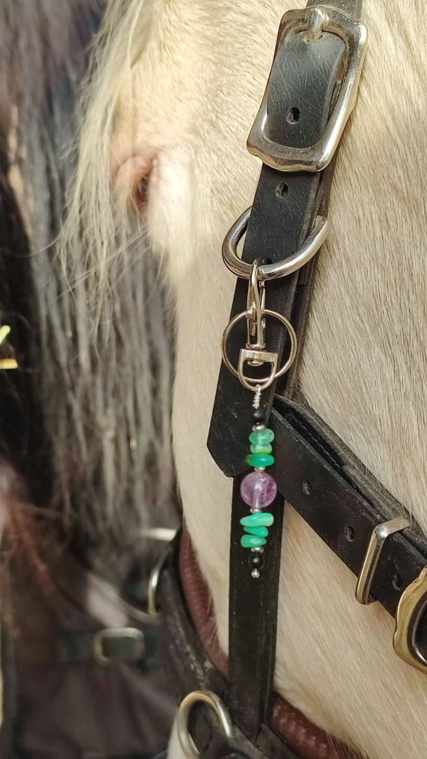 Seelenpaket "Soul Horse Guidance"