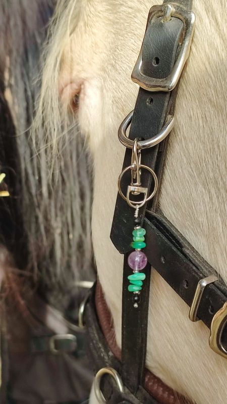 Seelenpaket "Soul Horse Guidance"