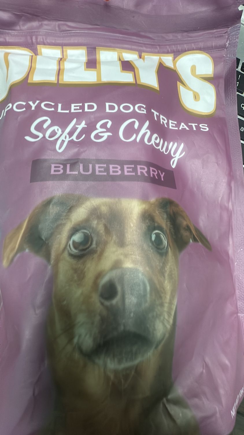 Dilly’s Blueberry Treats