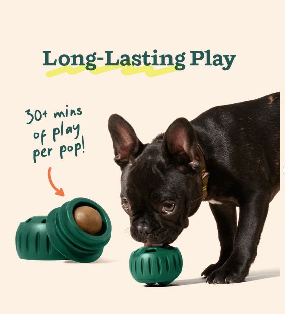 pupsicle Refill Pops PB &amp; Beef Flavor
