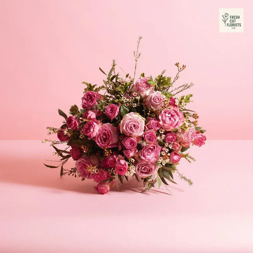 Blush Bloom