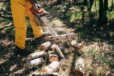Bûcheronnage / Tronçonnage