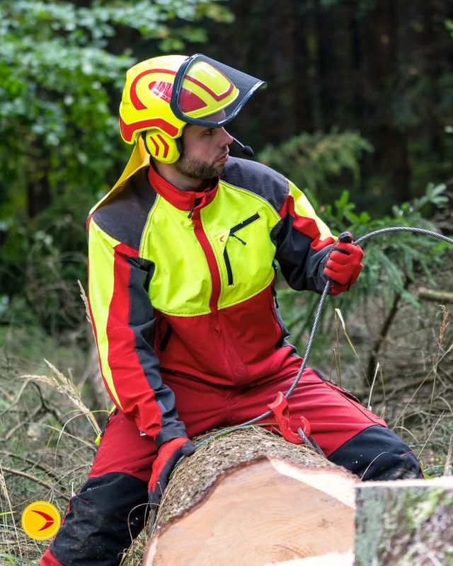 Bucheronnage / Forêt
