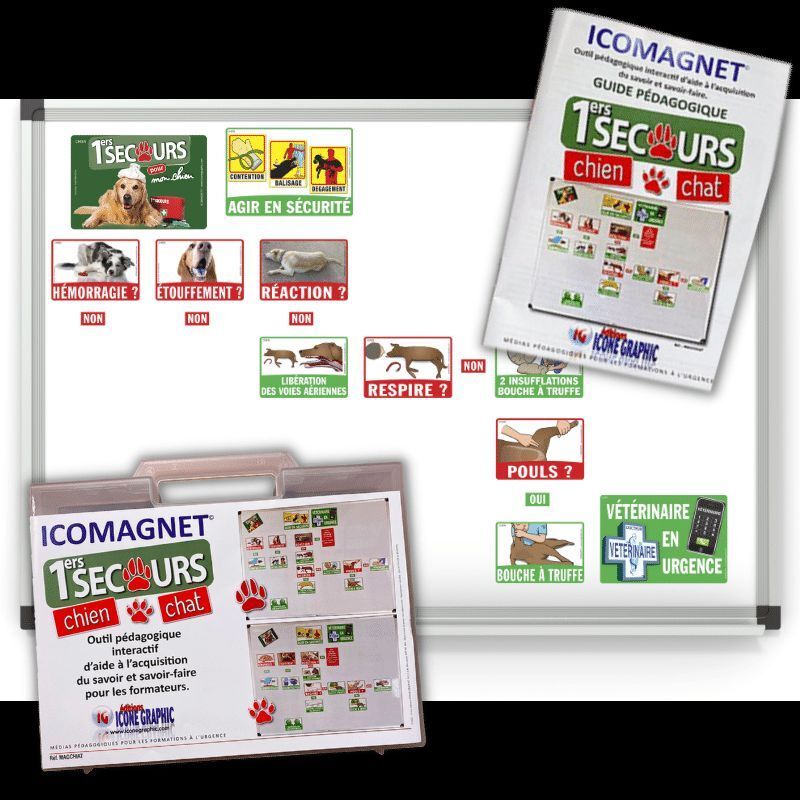Kit de formation ICOMAGNET : PREMIERS SECOURS chiens et chat