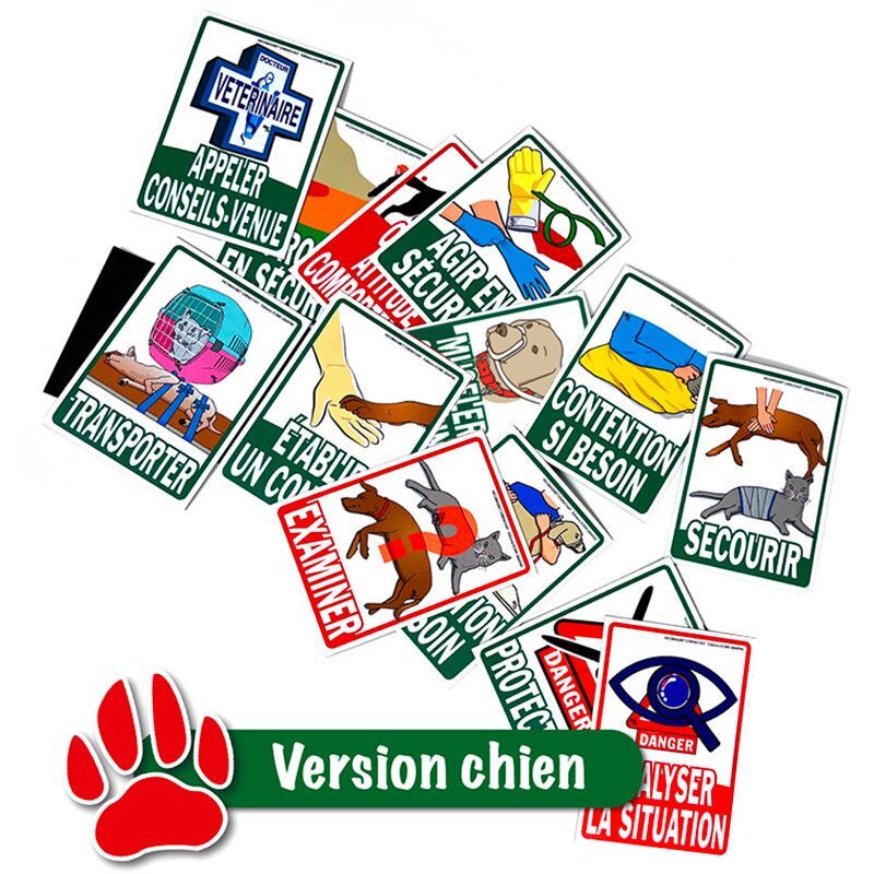 Kit de formation ICOMAGNET : LES 12 ÉTAPES POUR SAUVER SON CHIEN OU SON CHAT