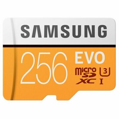 Samsung 256GB EVO V5 NANA microSDXC